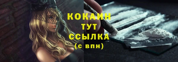хмурый Фурманов